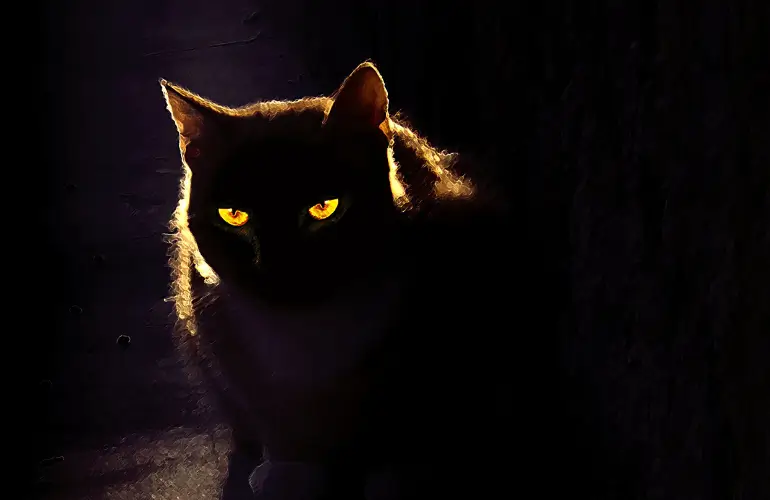 Котка символика